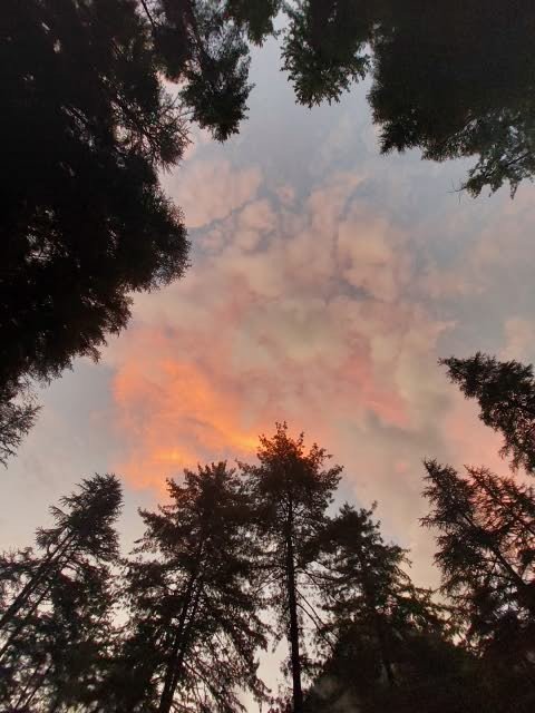DEPARTURE TO KASOL